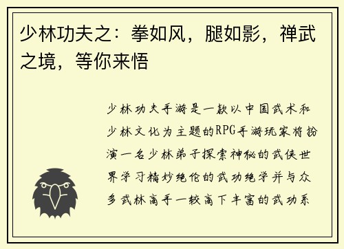 少林功夫之:拳如风,腿如影,禅武之境,等你来悟